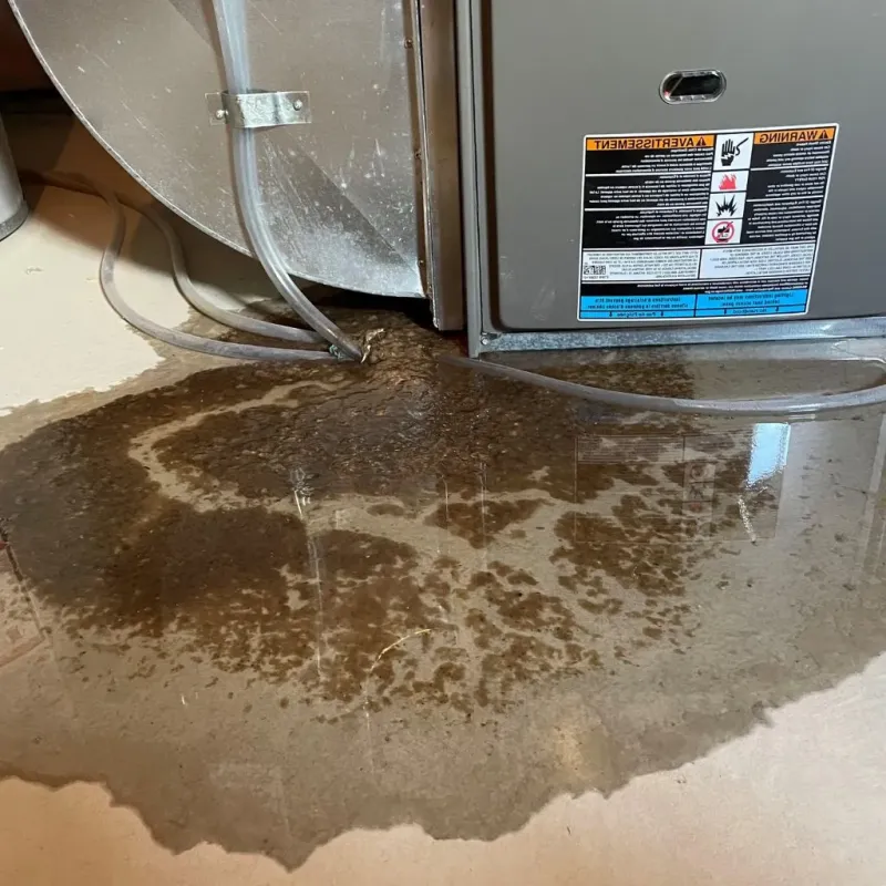 Pipe Burst and Leak Restoration in Floyd County, IN