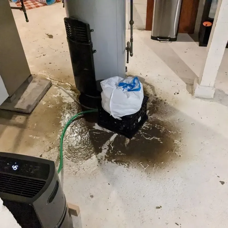 Sewage Backup Cleanup Service in Floyd County, IN